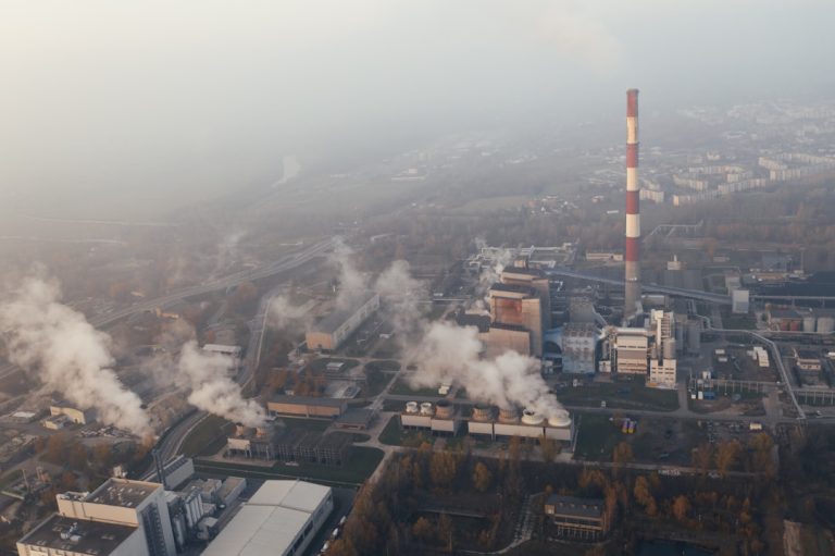 Transformation écologique entreprises grâce technologies vertes numériques.